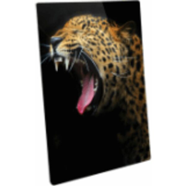 8" x 12" Semi-Gloss ChromaLuxe Aluminum Photo Panel Thumbnail