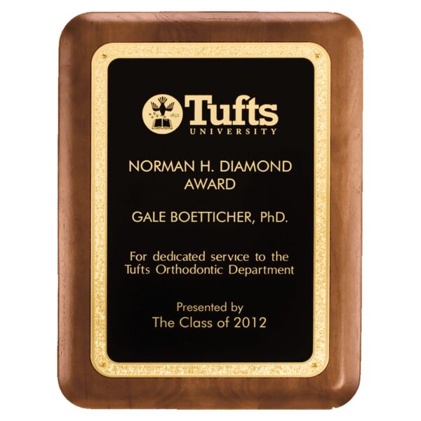 7" x 9" American Plaque with Textured LaserFX Plate with Florentine Border Thumbnail