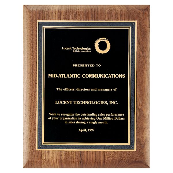 9" x 12" American Plaque with Florentine Border Textured LaserFX Plate Thumbnail