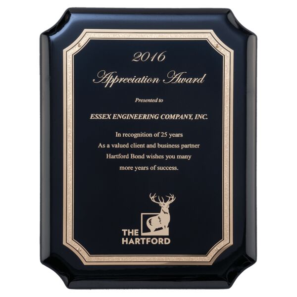 8" x 10 1/2" High Gloss Plaque with Florentine Border LaserFX Plate Thumbnail