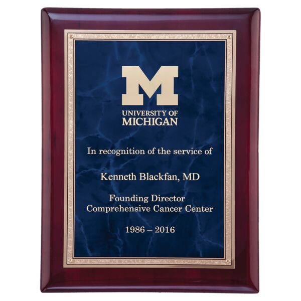 9" x 12" Airflyte Piano Finish Plaque with Sapphire Marble and Florentine Border LaserFX Plate Thumbnail