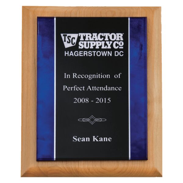 7" x 9" Airflyte Natural Plaque with Border Acrylic Plate Thumbnail