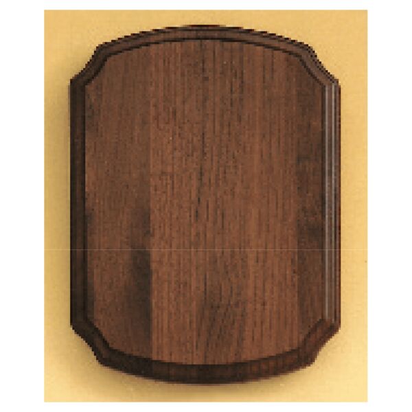 12" x 18" Airflyte American Plaque Thumbnail