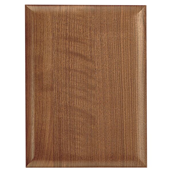 16" X 24" Airflyte Plaque Thumbnail