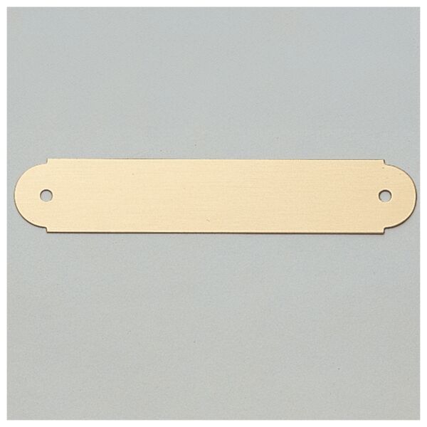 3/4" x 4" Brushed Brass Plate with Two Holes Thumbnail