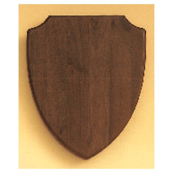10" x 12" Airflyte American Shield Plaque Thumbnail