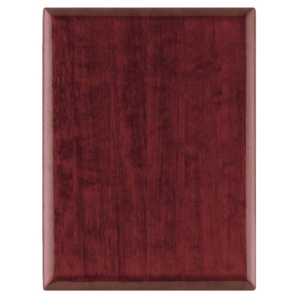 14" x 20" Airflyte Piano Finish Plaque Thumbnail