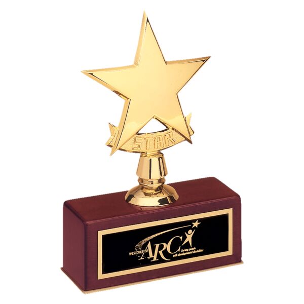 5" x 7 1/2" Polished Metal Goldtone Star Casting on Piano Finish Base with Laserable Brass Plate Thumbnail