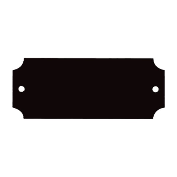 2 1/2" x 1" Brass Laserable Perpetual Plate Thumbnail